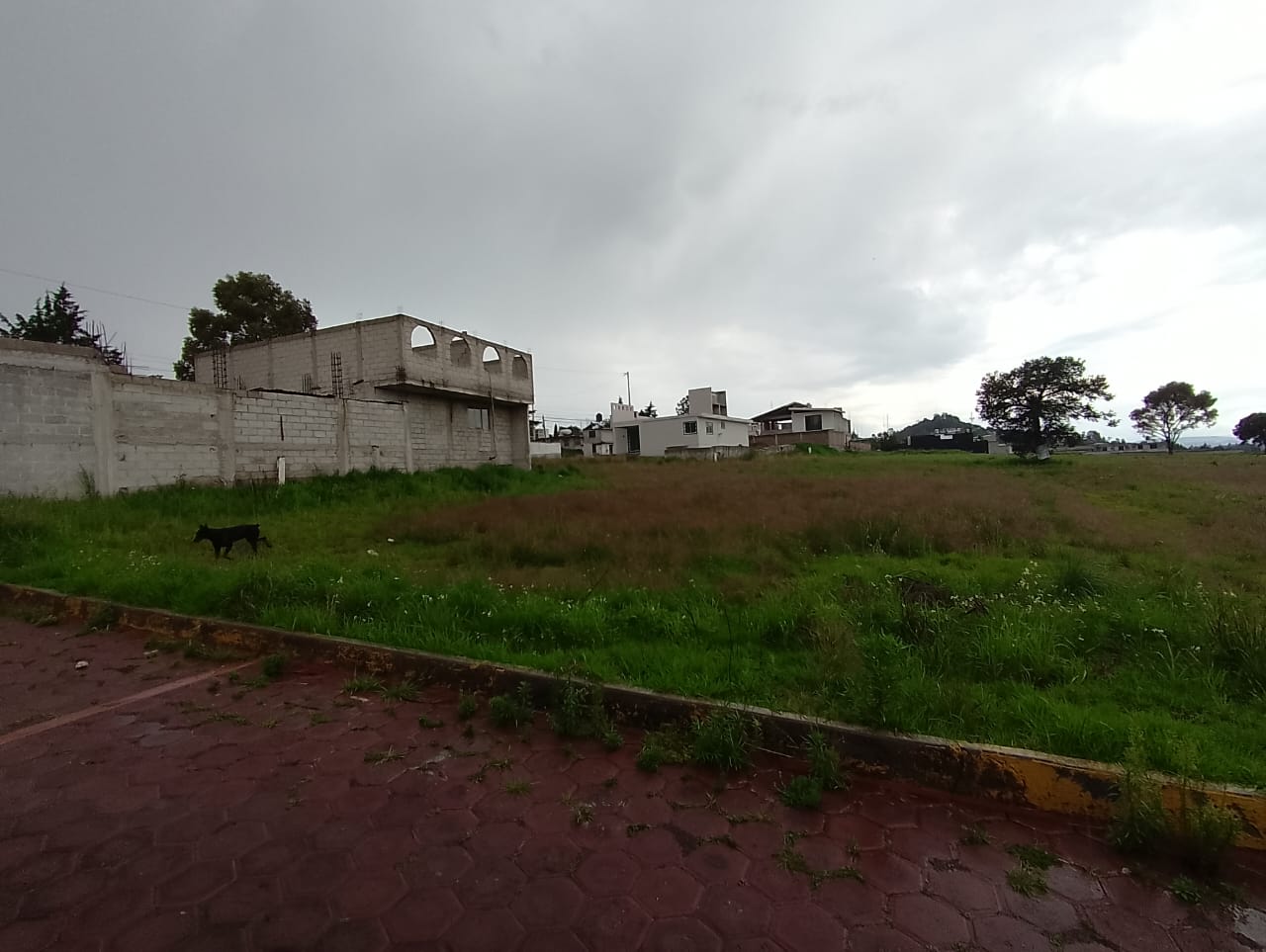 CENTRO,TLAXCALA,Tlaxcala 90660,Suelo,CENTRO,1200