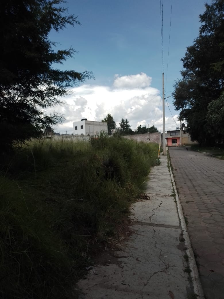 MARTIRES DE 1915,TLAXCALA,Tlaxcala 90660,Suelo,MARTIRES DE 1915,1208