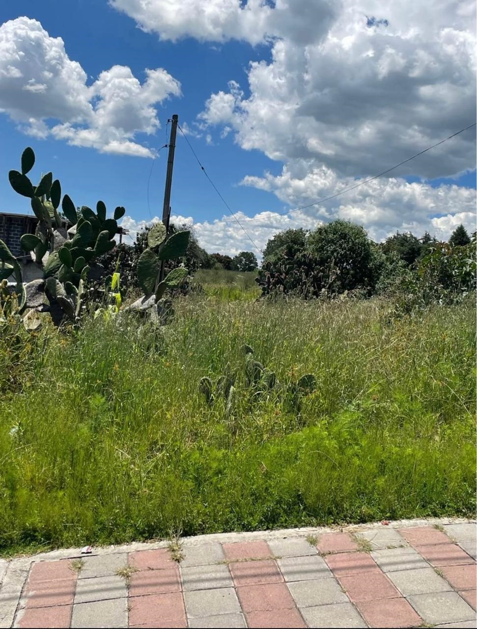 554 15 DE ABRIL,SAN SALVADOR,Tlaxcala 90160,Suelo,15 DE ABRIL,1209