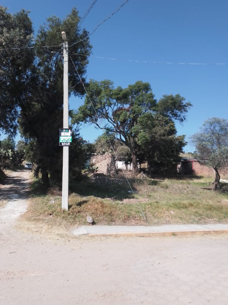 0 SIN NOMBRE,TLAXCALA,Tlaxcala 90430,Suelo,SIN NOMBRE,1219