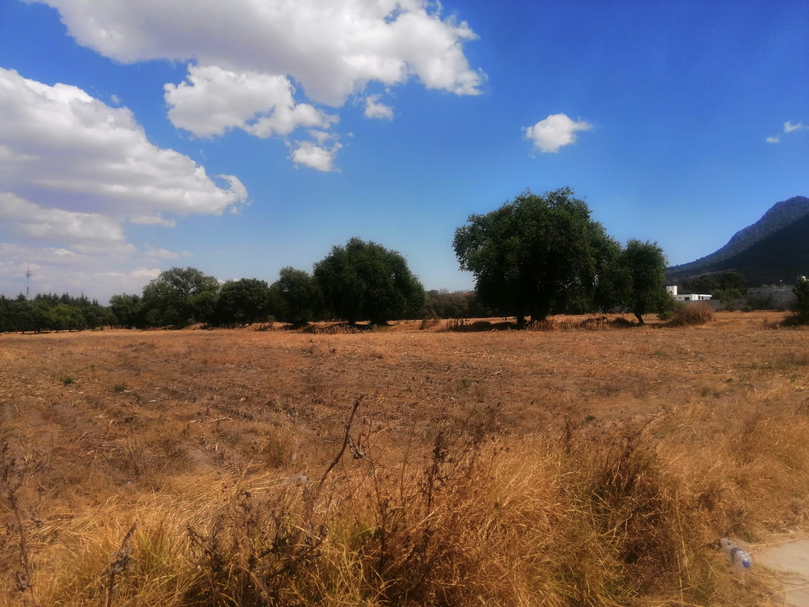 3123 ISAIAS MONTIEL,APIZACO,Tlaxcala 90430,Suelo,ISAIAS MONTIEL,1225