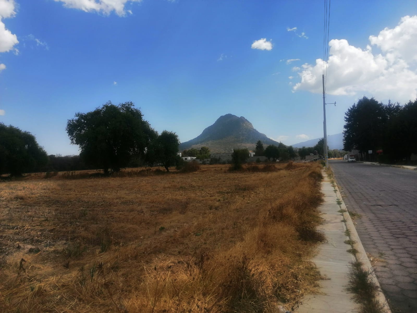 3123 ISAIAS MONTIEL,APIZACO,Tlaxcala 90430,Suelo,ISAIAS MONTIEL,1225