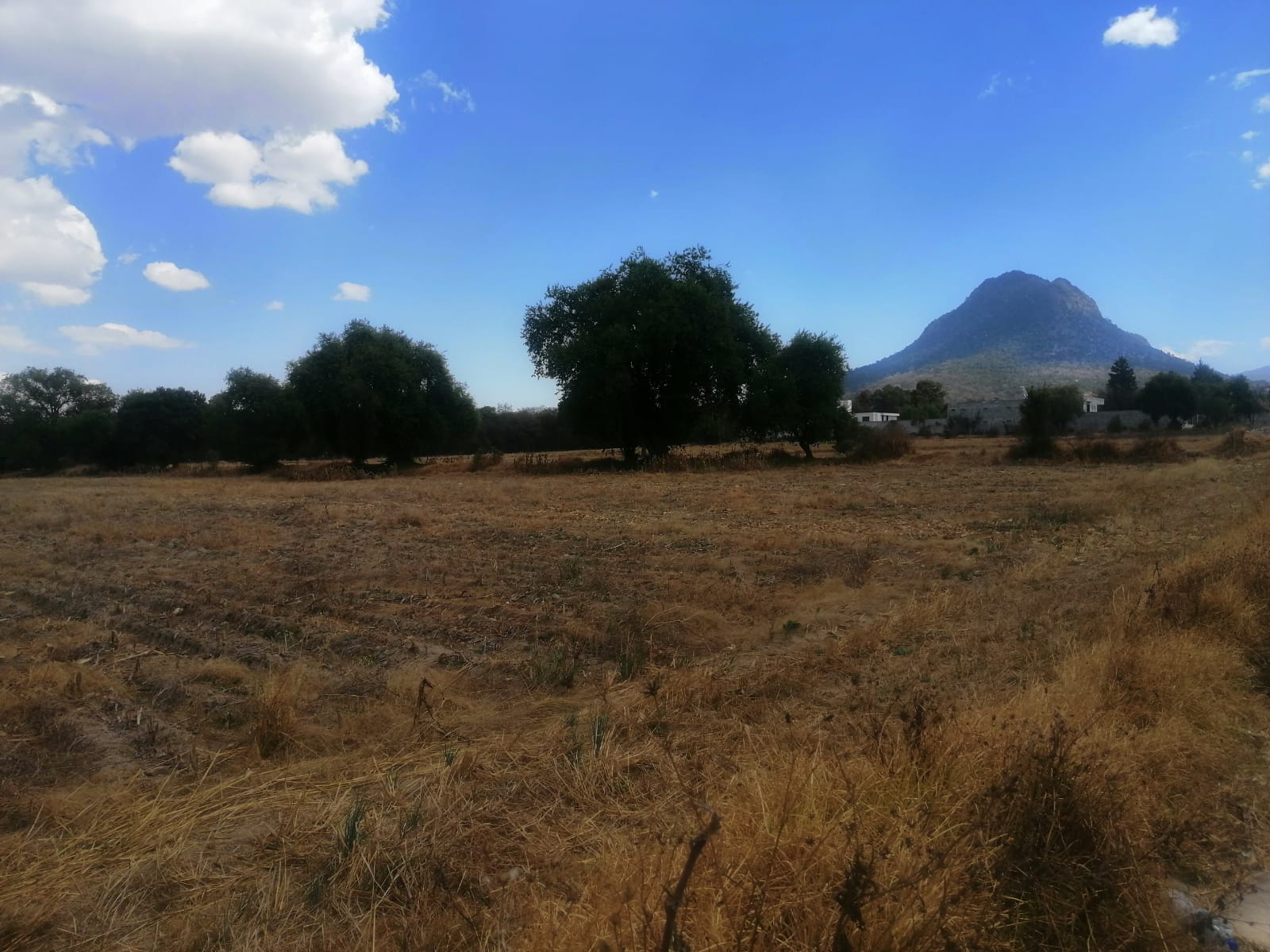 3123 ISAIAS MONTIEL,APIZACO,Tlaxcala 90430,Suelo,ISAIAS MONTIEL,1225