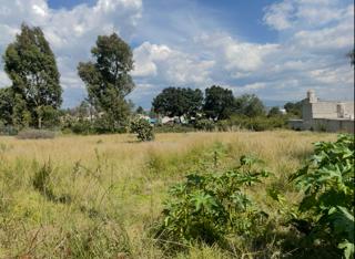 S/N BENITO JUAREZ,SAN MATIAS TEPETOMATITLAN,Tlaxcala 90606,Suelo,BENITO JUAREZ,813435
